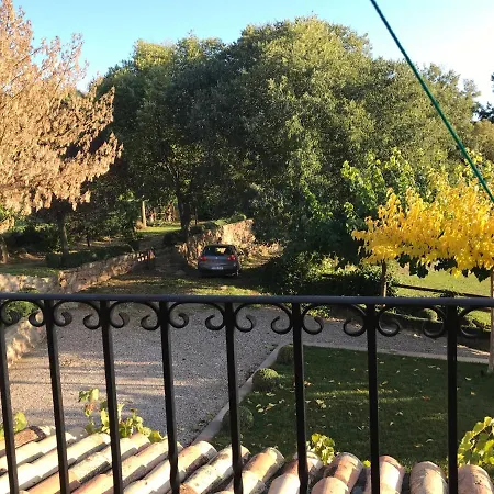 Rural Летний дом