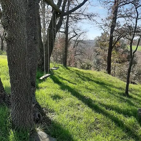 Летний дом Rural Сольсона