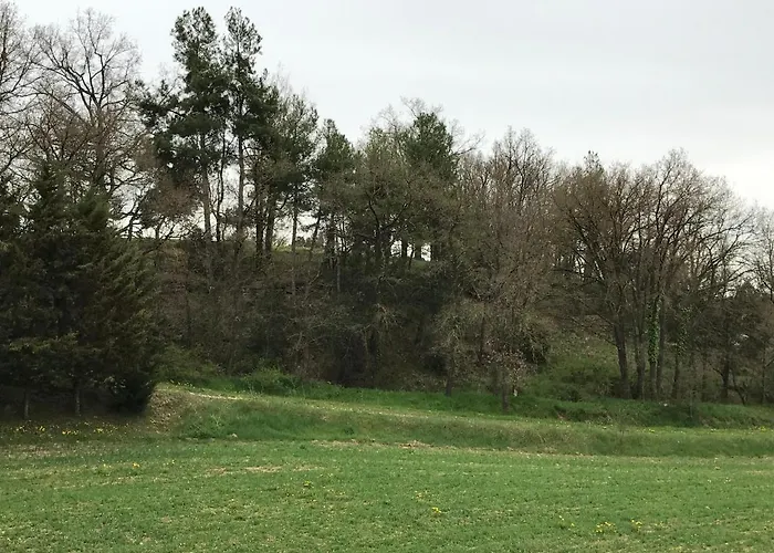 Rural *