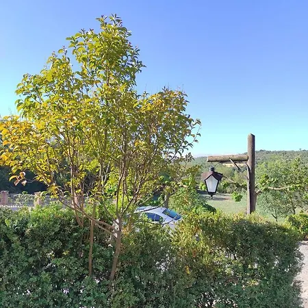 Rural